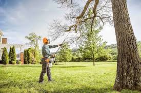 Lawn Pest Prevention in Romancoke, MD